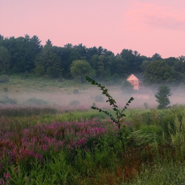 Деревенская природа