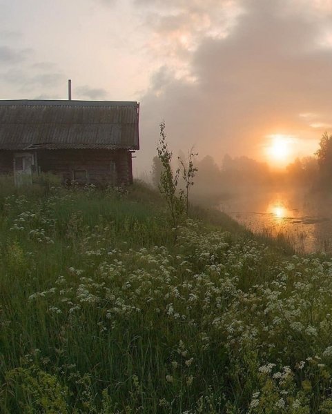 Утро в деревне