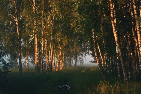 Деревенский пейзаж