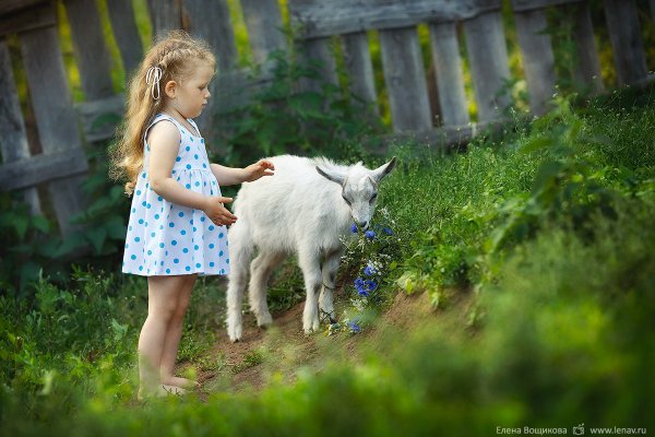 Малыши. В деревне