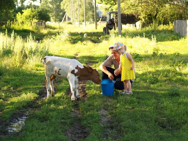Лето у бабушки в деревне