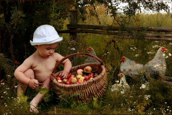 Дети в деревне летом у бабушки