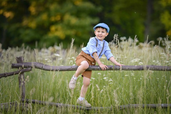 Малыши. В деревне