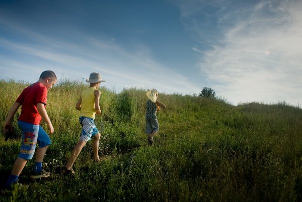 Лето веселая пора