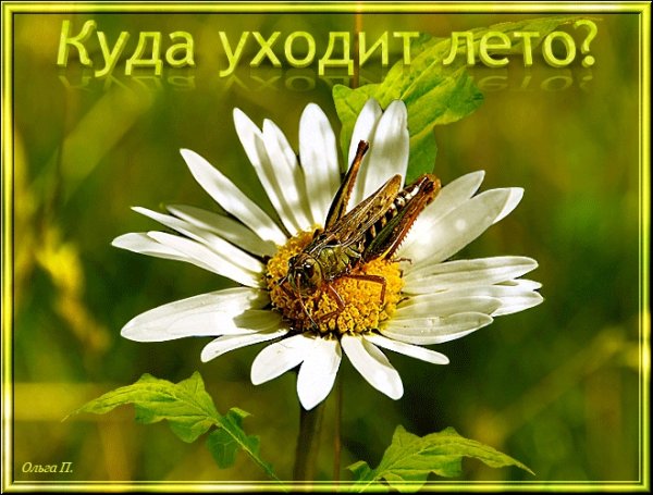Куда уходит лето