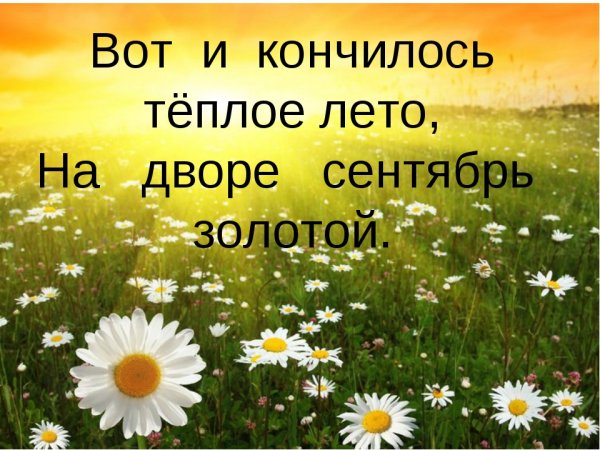 Лето прошло