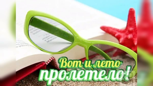 Полетели в лето