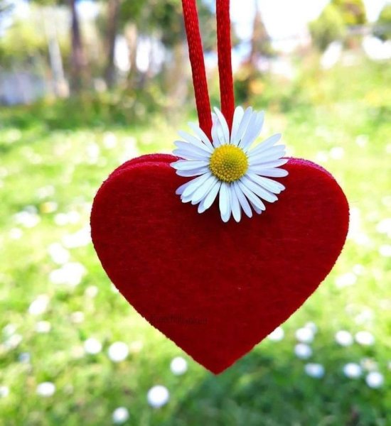 День Святого Валентина на море