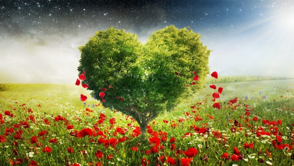 Сердце на песке