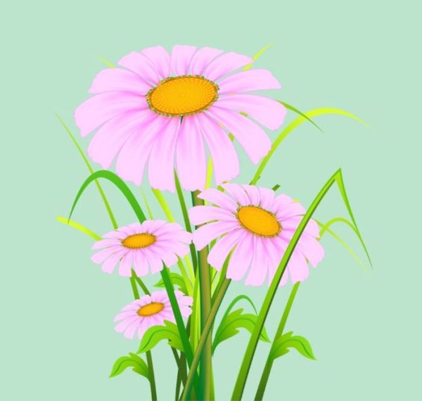 Летние цветы рисунок для детей