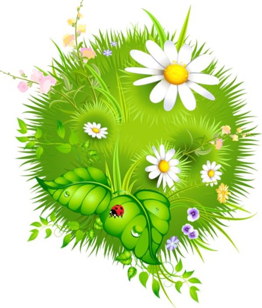 Лето клипарт