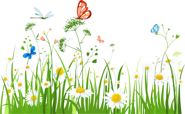 Поляна с цветами и бабочками