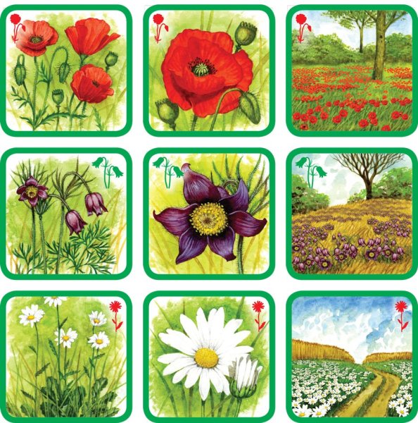 Красивое солнышко