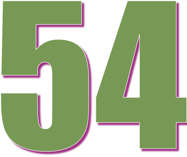 54 Число