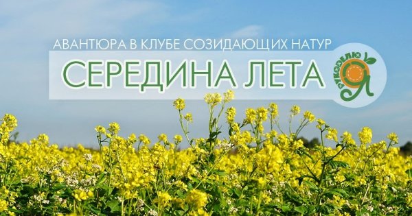Уже середина лета