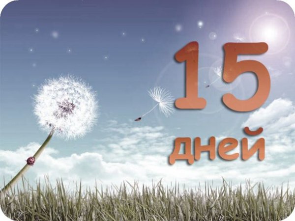 Недель дней до лета