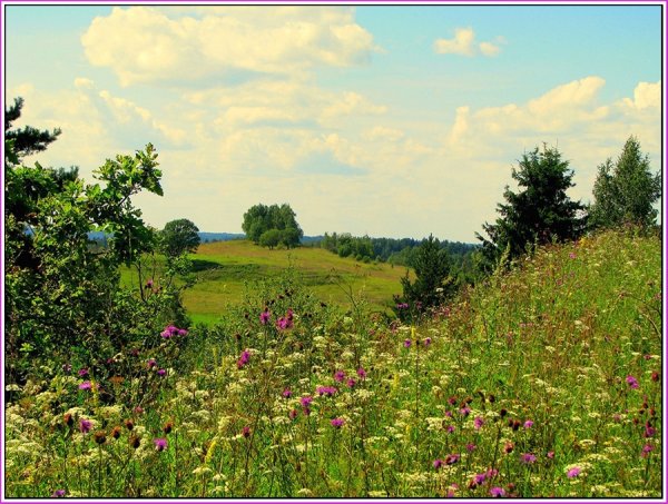 Пушкин Ах лето