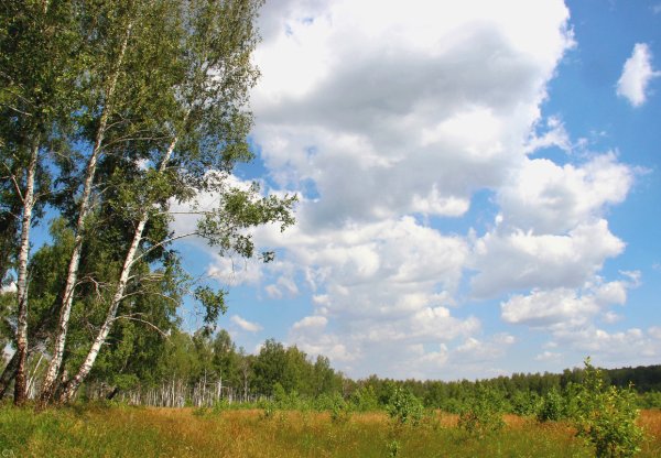 Ох лето красное любил бы