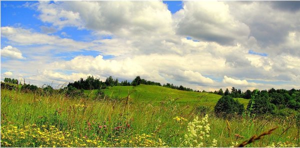 Ох лето красное