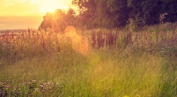 Ох лето красное любил бы я тебя