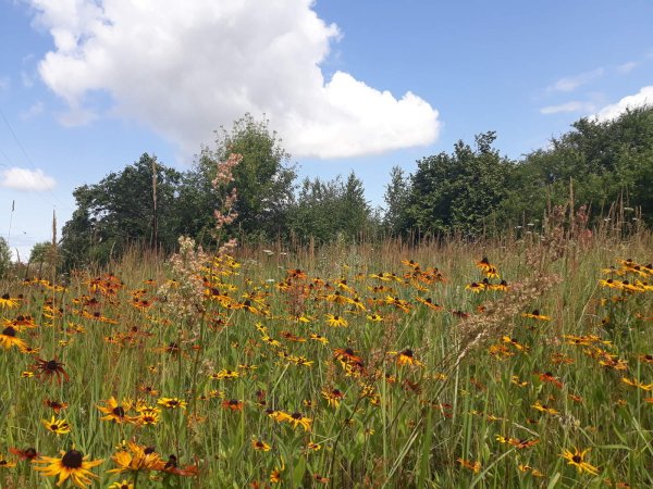 Лето красное лето