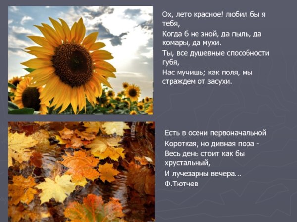 Здравствуй лето