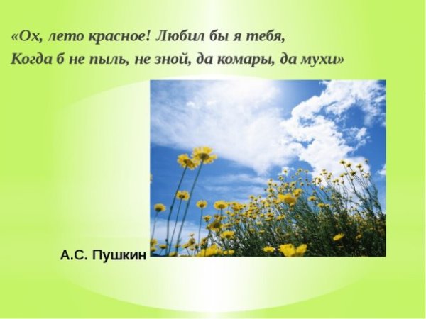 Лето надпись