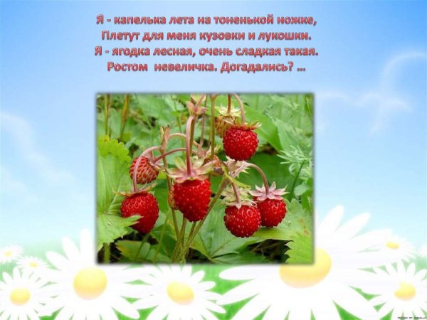 Лето Ах лето