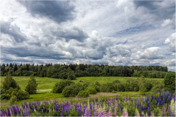 Проект лето Ах лето