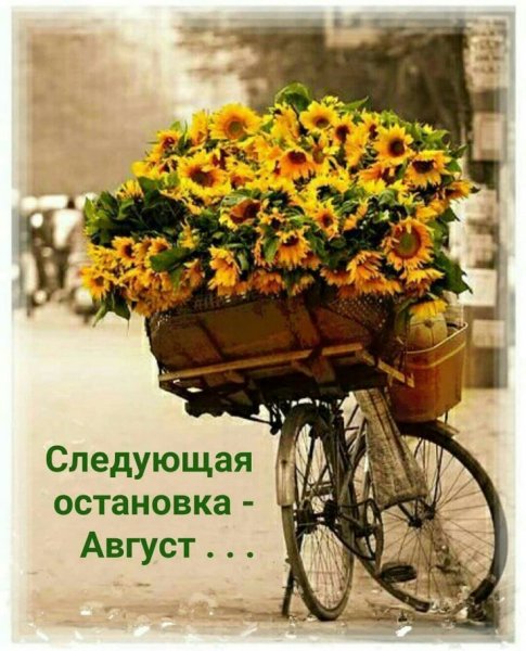 Следующая остановка август