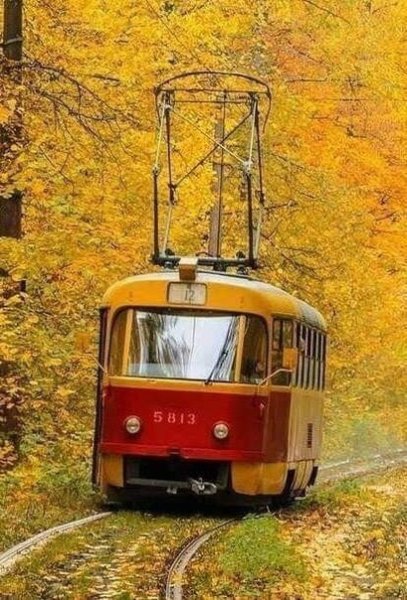 Соедующаяостановка осень