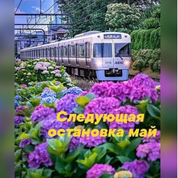 Поезд осень