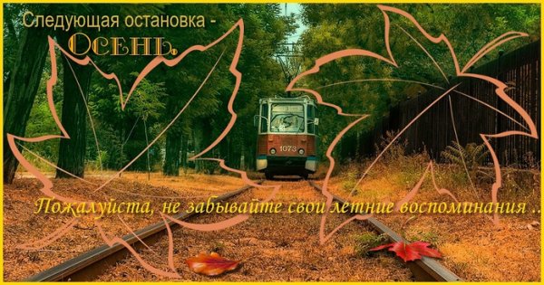 Велосипед цветы