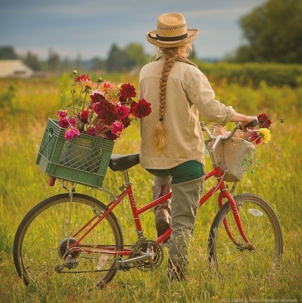Следующая остановка осень