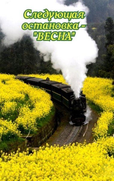 Открытки август лето