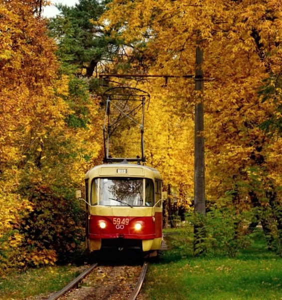 Трамвай осень