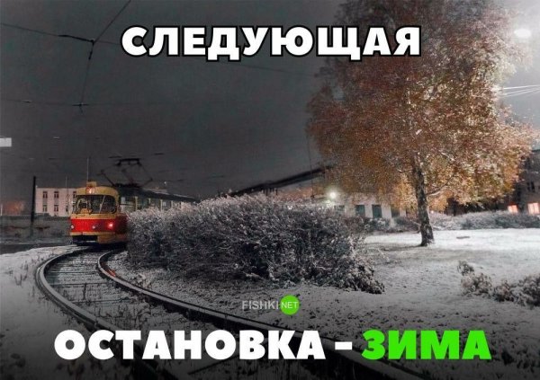 Пуща Водица трамвай зима