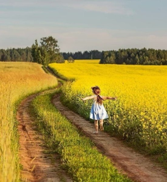 Сказочное лето