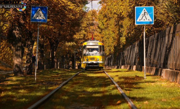 Ярилин день макушка лета