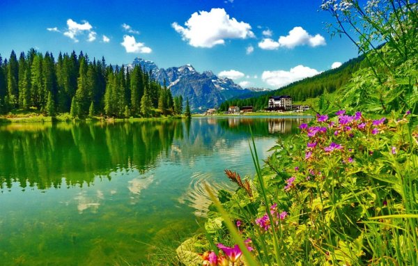 Красивое поле