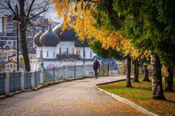 Осень Александровский сад каров
