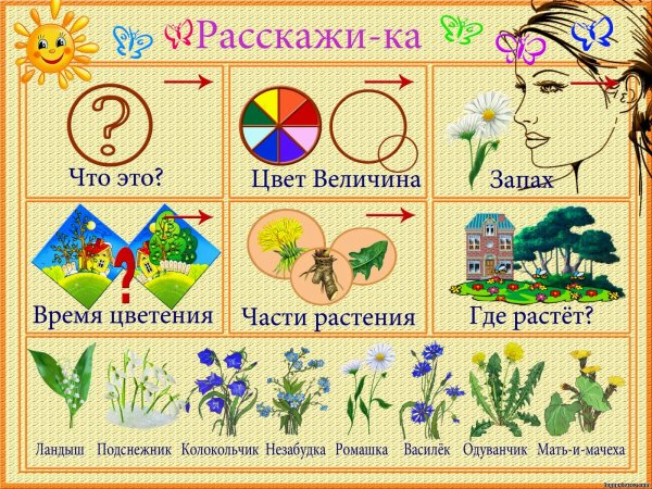 Алгоритм одевания весной и осенью