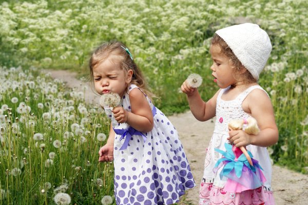 Летние забавы