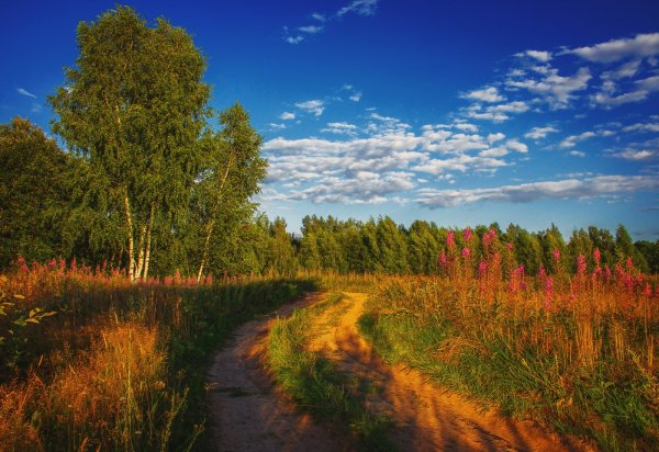 Пейзаж средней полосы