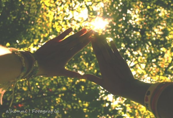 Природа в руках