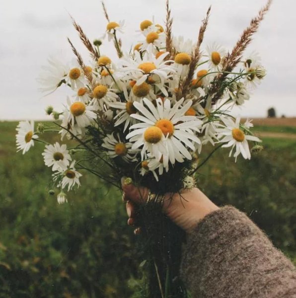 Букет полевых цветов в руках