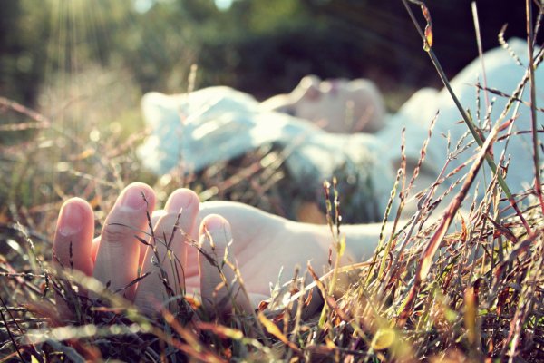 Прикосновение к траве