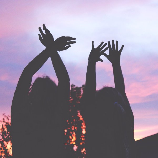 Лучшие друзья на закате