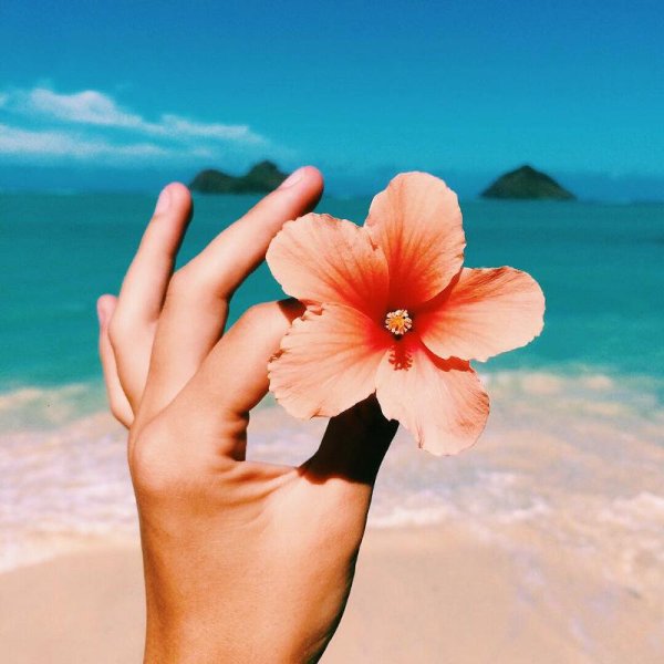 Цветок на руку.