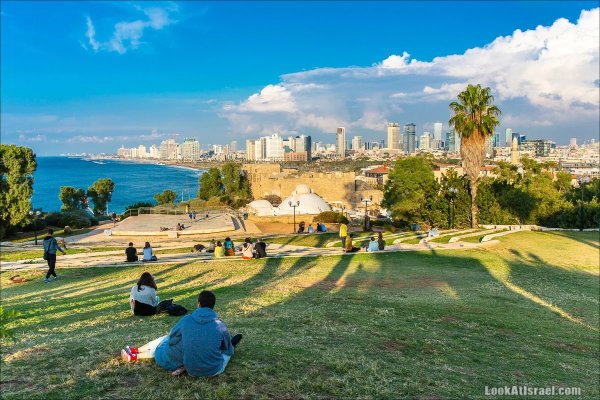 Израиль Тель Авив лето